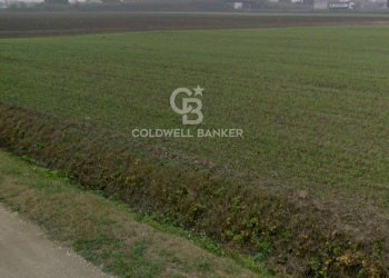 Foto 3 - Terreno edificabile Via Bassa Cimitero
 
0, Villamarzana - foto 3