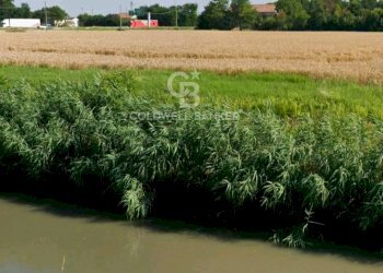 Foto 4 - Terreno edificabile Via Bassa Cimitero
 
0, Villamarzana - foto 4