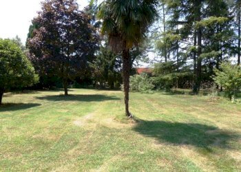 Foto 9 - Villa via postumia, Treviso - photo 9