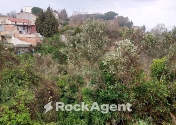 Terreno - Agricultural land via Ettore Vitale, Catanzaro - photo 10