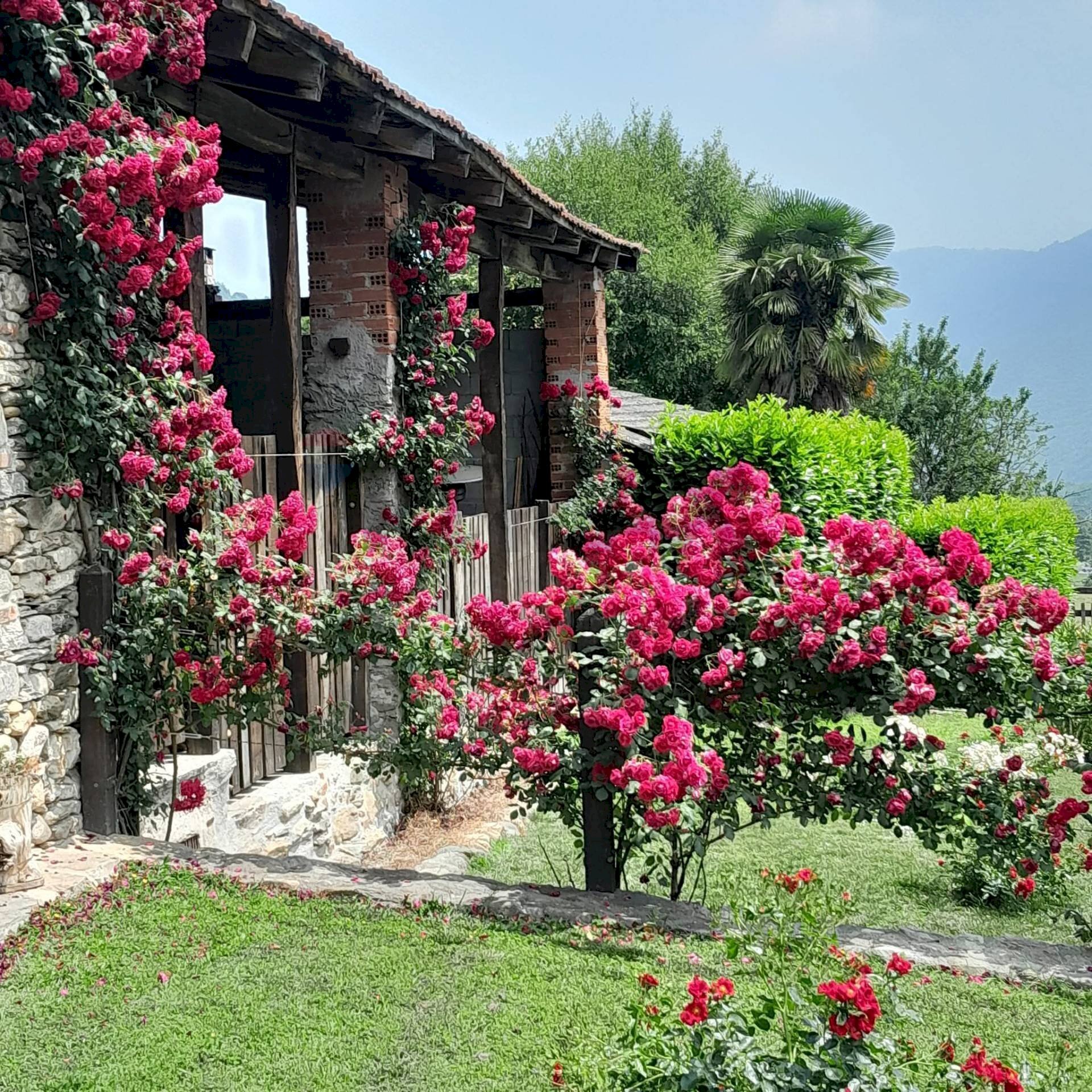 Giardino - Commercial Premises Località Pianta
 
8, Villar Pellice - photo 1