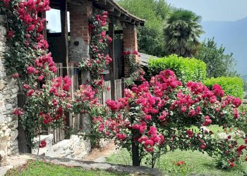 Giardino - Commercial Premises Località Pianta
 
8, Villar Pellice - photo 1