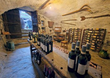 Cantina - Commercial Premises Località Pianta
 
8, Villar Pellice - photo 9