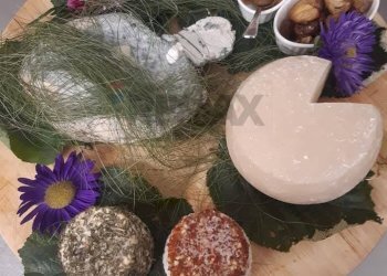 Dettagli - Commercial Premises Località Pianta
 
8, Villar Pellice - photo 33