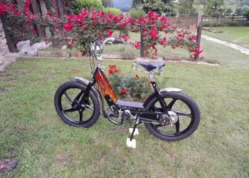 Giardino - Commercial Premises Località Pianta
 
8, Villar Pellice - photo 41