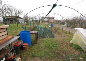 Giardino - Villa a Schiera via grangia
 
24, Villanova d'Asti - foto 60