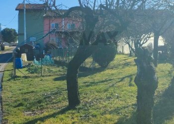 Giardino - Villa a Schiera via grangia
 
24, Villanova d'Asti - foto 70