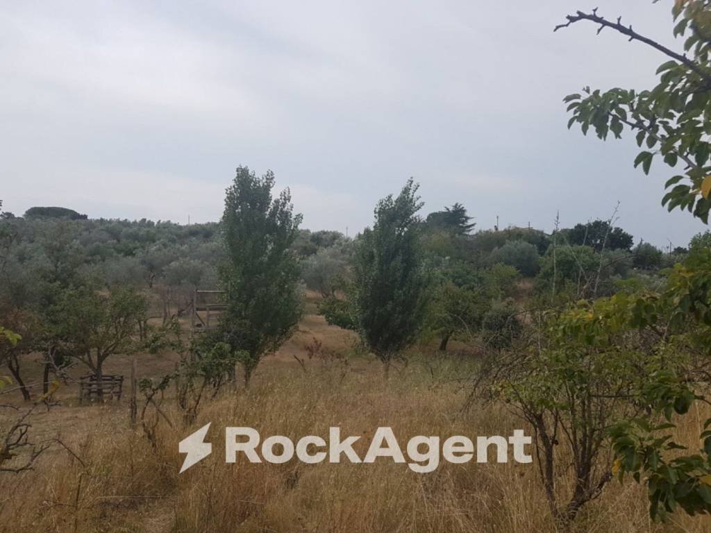 Terreno - Agricultural land via Sasso San Pellegrino, Viterbo - photo 3