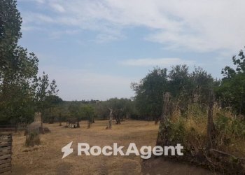 Terreno - Terreno agricolo via Sasso San Pellegrino, Viterbo - foto 1