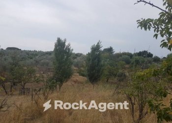 Terreno - Terreno agricolo via Sasso San Pellegrino, Viterbo - foto 3