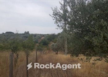 Terreno - Terreno agricolo via Sasso San Pellegrino, Viterbo - foto 4