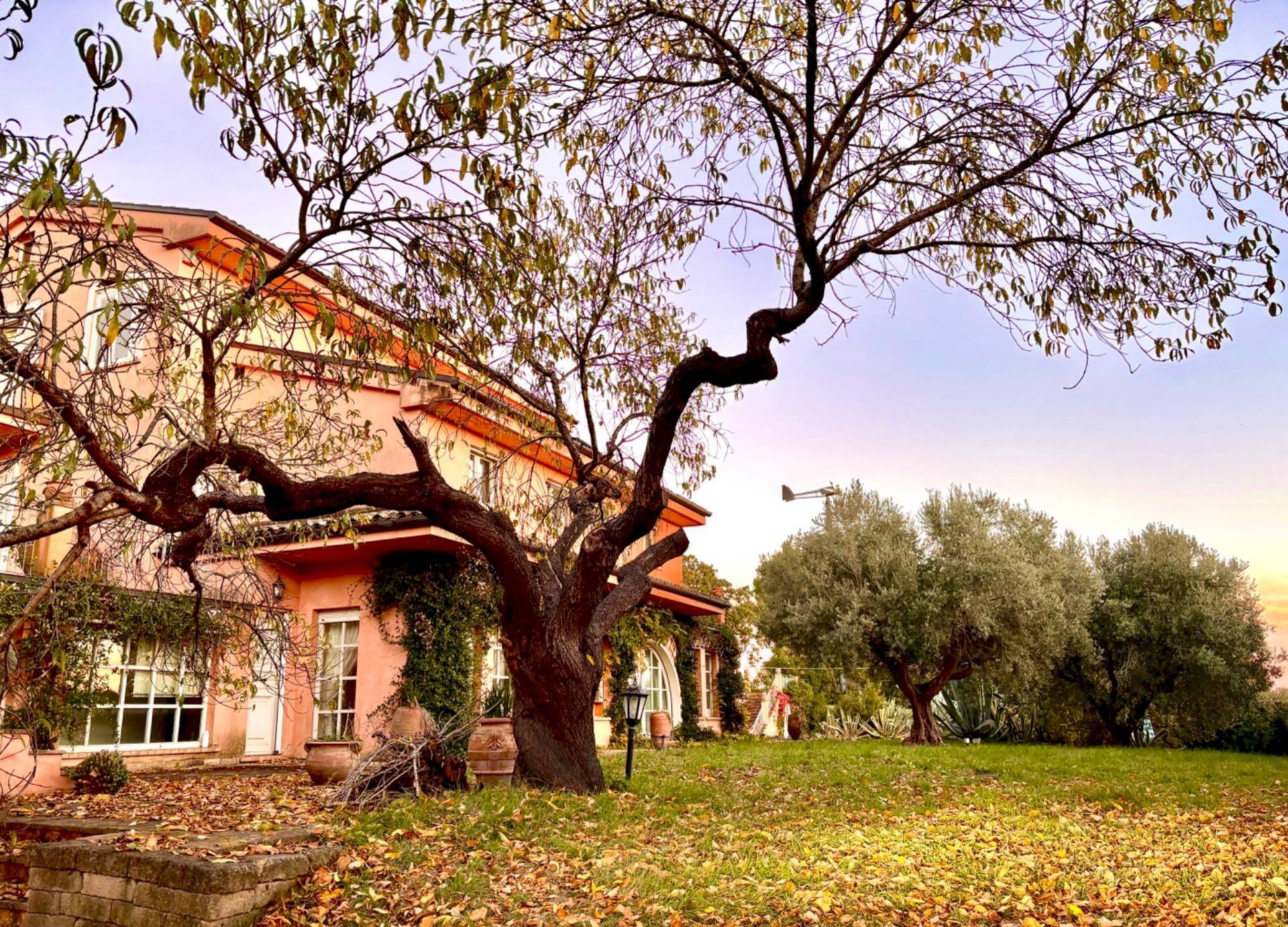 Foto 1 - Villa contrada cavallino, Civitanova Marche - foto 1