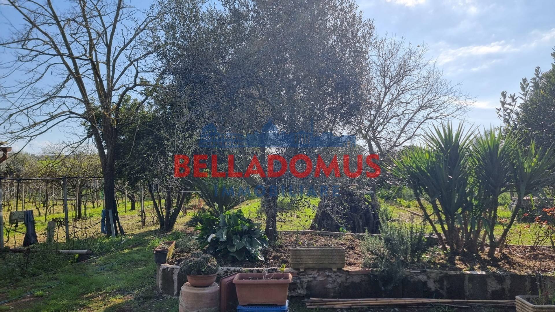 Foto 2 - Agricultural land Via della Maggiona
 
snc, Pomezia - photo 2