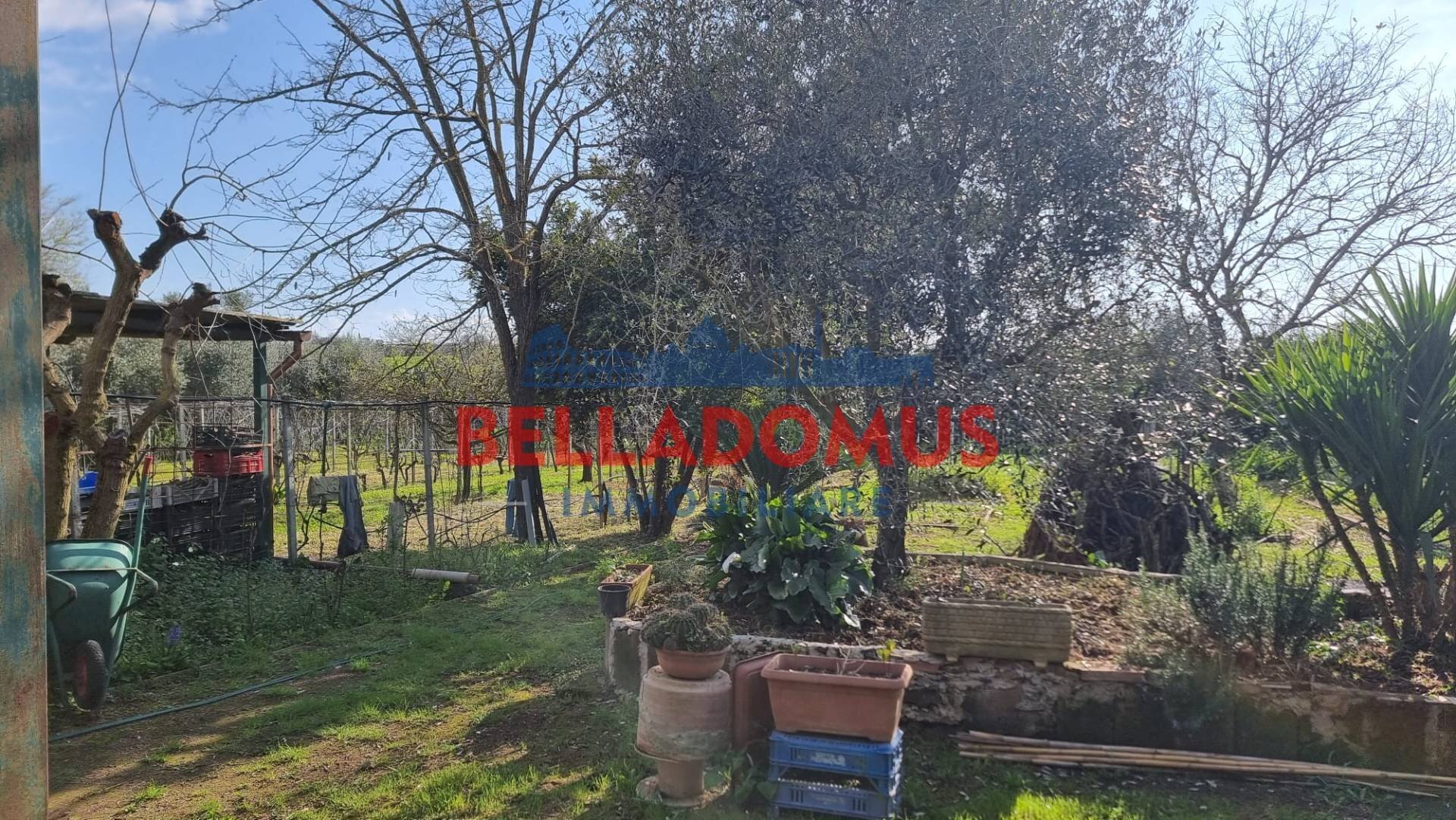 Foto 3 - Agricultural land Via della Maggiona
 
snc, Pomezia - photo 3