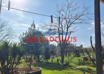 Foto 1 - Agricultural land Via della Maggiona
 
snc, Pomezia - photo 1