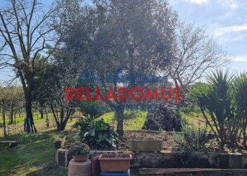 Foto 2 - Agricultural land Via della Maggiona
 
snc, Pomezia - photo 2