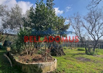 Foto 6 - Agricultural land Via della Maggiona
 
snc, Pomezia - photo 6