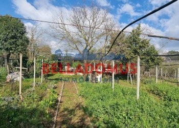 Foto 7 - Agricultural land Via della Maggiona
 
snc, Pomezia - photo 7