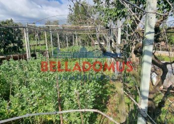 Foto 8 - Agricultural land Via della Maggiona
 
snc, Pomezia - photo 8