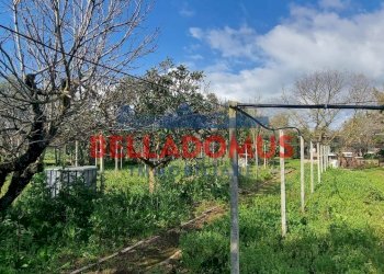 Foto 12 - Agricultural land Via della Maggiona
 
snc, Pomezia - photo 12