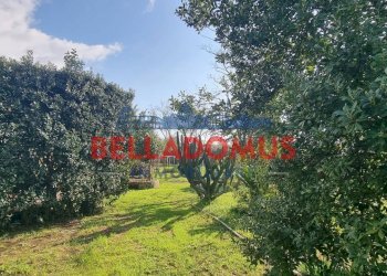 Foto 13 - Agricultural land Via della Maggiona
 
snc, Pomezia - photo 13