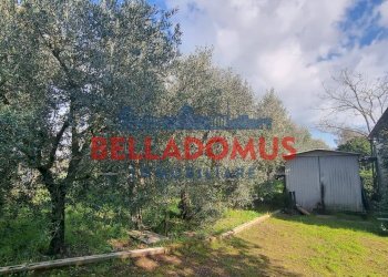 Foto 14 - Agricultural land Via della Maggiona
 
snc, Pomezia - photo 14