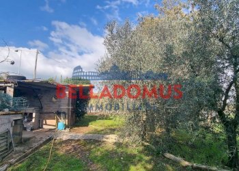 Foto 15 - Agricultural land Via della Maggiona
 
snc, Pomezia - photo 15