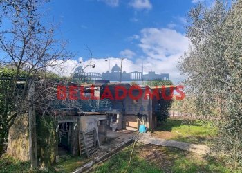 Foto 16 - Agricultural land Via della Maggiona
 
snc, Pomezia - photo 16