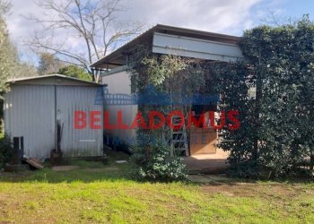 Foto 17 - Agricultural land Via della Maggiona
 
snc, Pomezia - photo 17