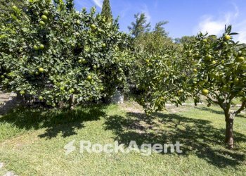Terreno - Villa contrada Zaccano, Caraffa di Catanzaro - foto 6