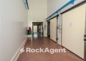 Box auto - Shed via Corradino D'Ascanio, Acquapendente - photo 11