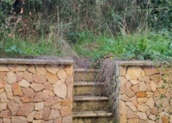 Terreno - Villa a Schiera Vocabolo Rio Pertica, Forano - foto 14