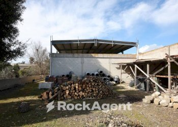 Terreno - Villa via Mesagne, San Donaci - foto 24