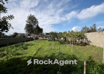 Terreno - Villa via Mesagne, San Donaci - foto 28