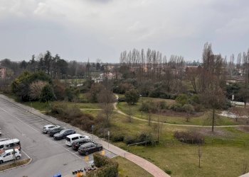 Foto 11 - Quadrilocale Via Antonio Borin, Treviso - foto 11