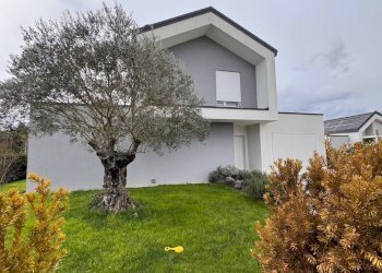 Foto 1 - Villa Via Zermanese, Treviso - foto 1