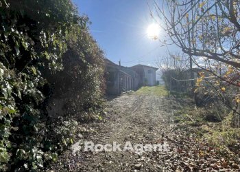 Terreno - Villa contrada Feudo da Sole, 23, Basciano - foto 34
