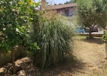 Terreno - Three-room apartment via Pozzo Donato, 29, Trecchina - photo 39