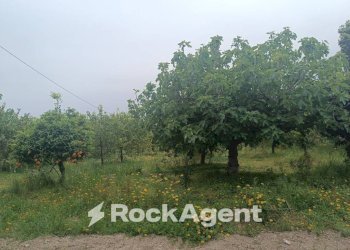 Terreno - Villa Bommiscuro SNC, Noto - photo 12