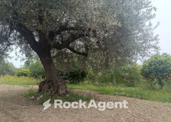 Terreno - Villa Bommiscuro SNC, Noto - foto 23