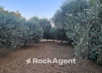 Terreno - Terreno agricolo SP26, 68, Vignanello - foto 1