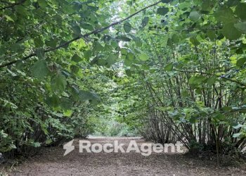 Terreno - Terreno agricolo SP26, 68, Vignanello - foto 3