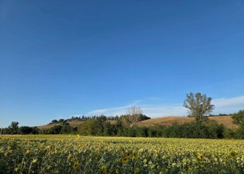 Foto 31 - Trilocale strada del ruffolo
 
93, Siena - foto 30