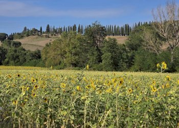 Foto 32 - Trilocale strada del ruffolo
 
93, Siena - foto 31