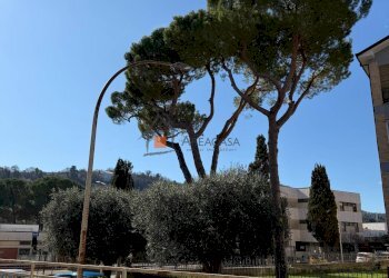 Foto 3 - Quadrilocale 9, Ascoli Piceno - foto 3