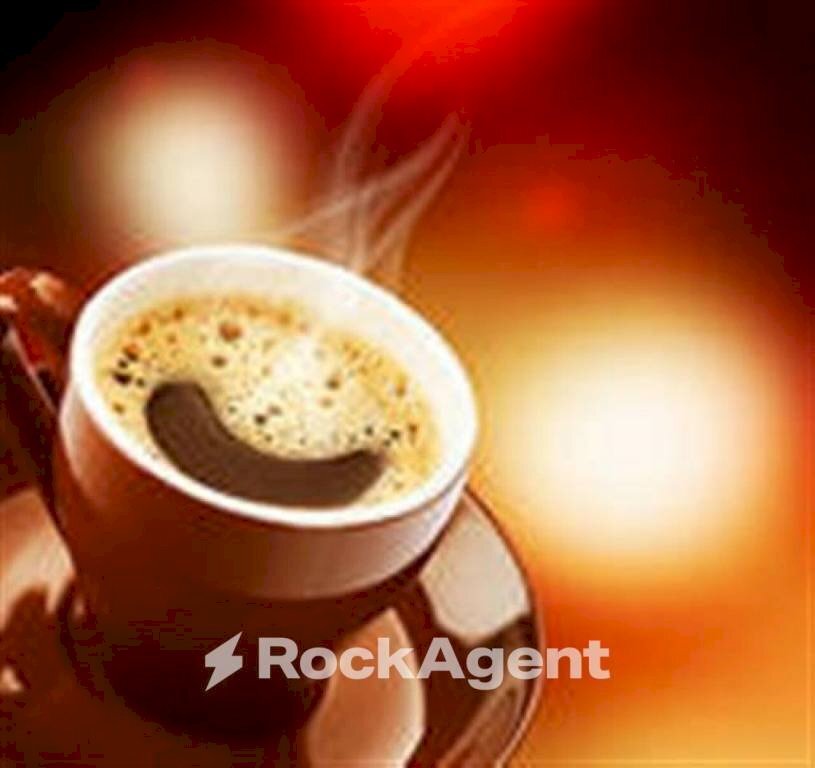 Altro - Bar Tavola Calda - Fredda Padova - foto 3