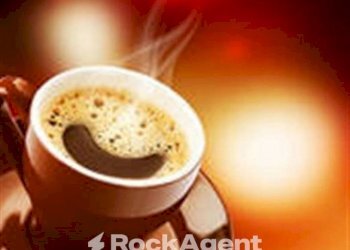 Altro - Bar Tavola Calda - Fredda Padova - foto 3