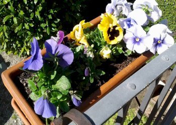 Villa Castiglione Torinese, Strada Valle Massa, Castiglione Torinese - photo 11