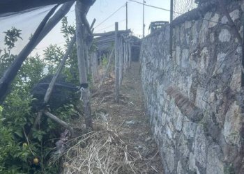 Terreno - Terreno agricolo largo Civita, 10, Ravello - foto 18