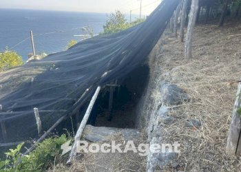 Terreno - Terreno agricolo largo Civita, 10, Ravello - foto 20